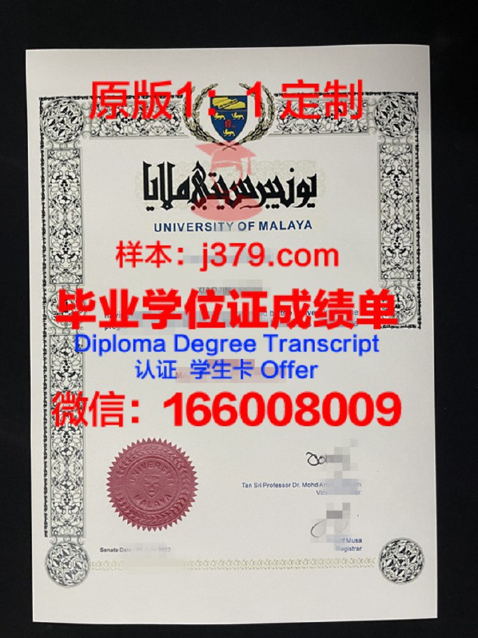 马来亚大学毕业证书样式(马来亚大学毕业证书样式及图片)