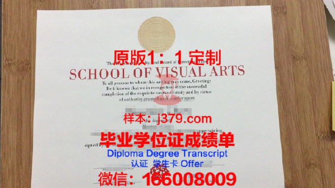 视觉传播学院毕业证照片(视觉传播设计与制作专业证书)