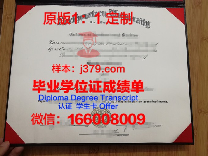 东北大学diploma证书(东北大学证书编号查询)