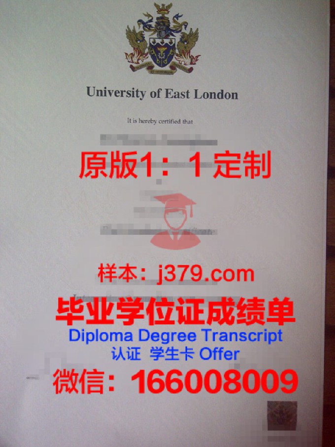 伦敦大学国王学院成绩单(伦敦国王学院gpa)