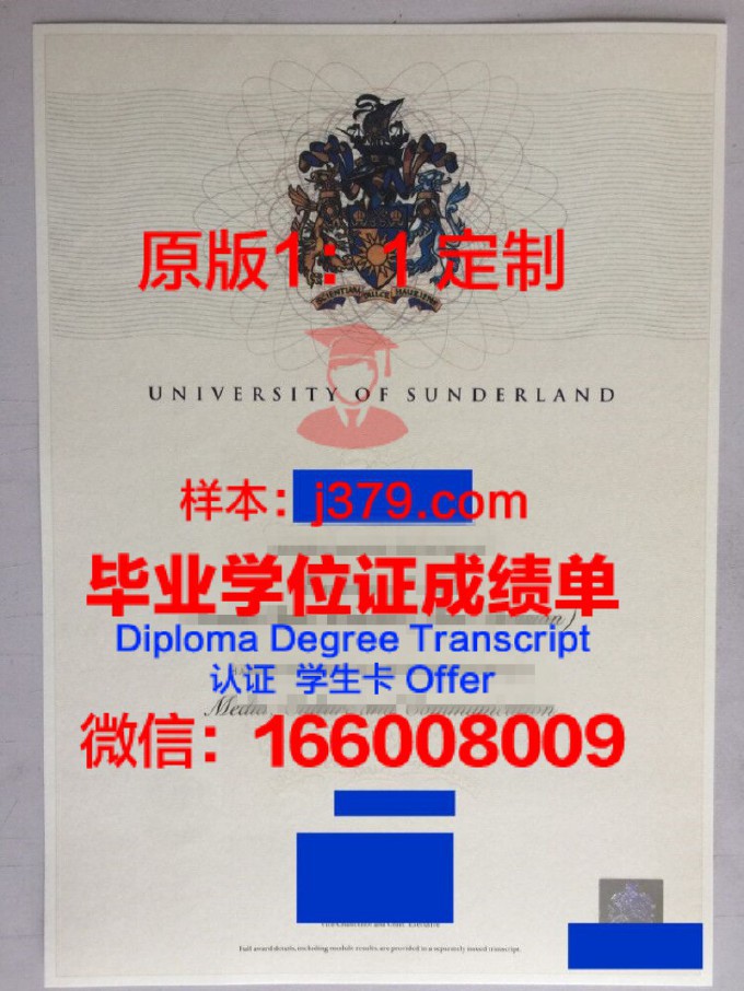 伊玛目穆罕默德·本·沙特伊斯兰大学学位证书(沙特阿拉伯伊玛目大学)