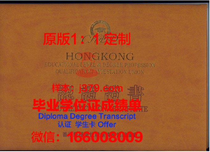 五系大学diploma证书