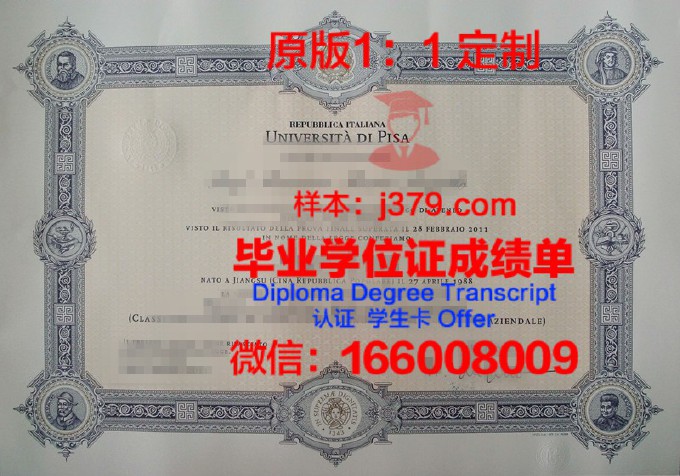 比萨大学diploma证书(比萨大学英文)