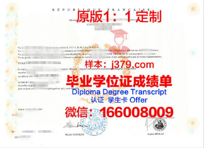 斯特拉斯堡大学斯特拉斯堡电信与物理学院毕业证书(斯特拉斯堡国立应用科学学院)