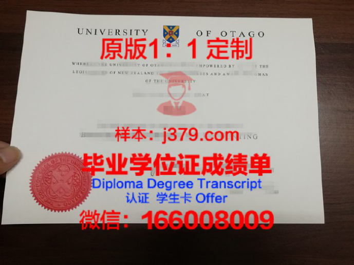 UUNZ商业学校录取通知书OFFER定制，助您圆梦新西兰