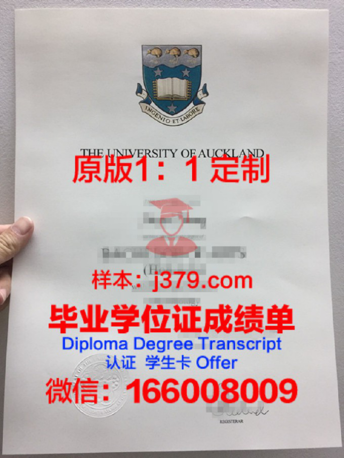 奥克兰大学硕士奖学金——为优秀学子插上翅膀