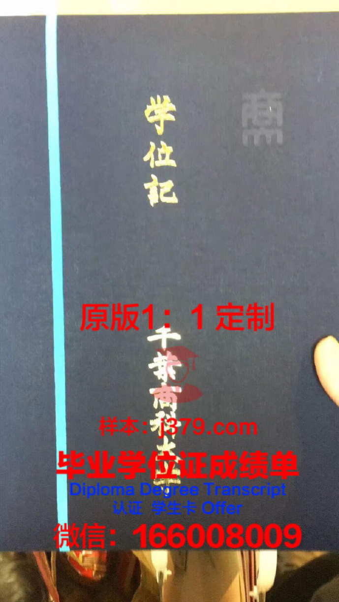 东京商科法科学院专门学校本科学位证：开启国际化职业大门的钥匙