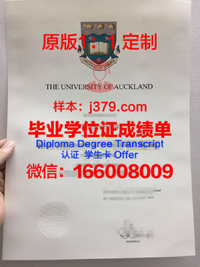 UUNZ商业学校录取通知书OFFER定制，助您圆梦新西兰