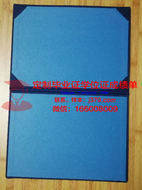 南特中央理工学院录取通知书OFFER定制，助你圆梦法国名校